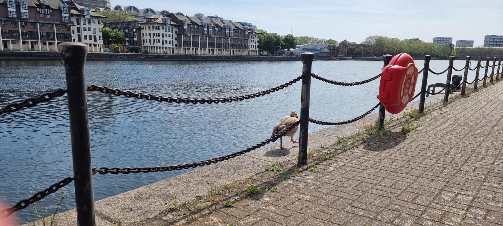 Riverside 1Br With Easy Transport 20Min To City Centre London Luaran gambar