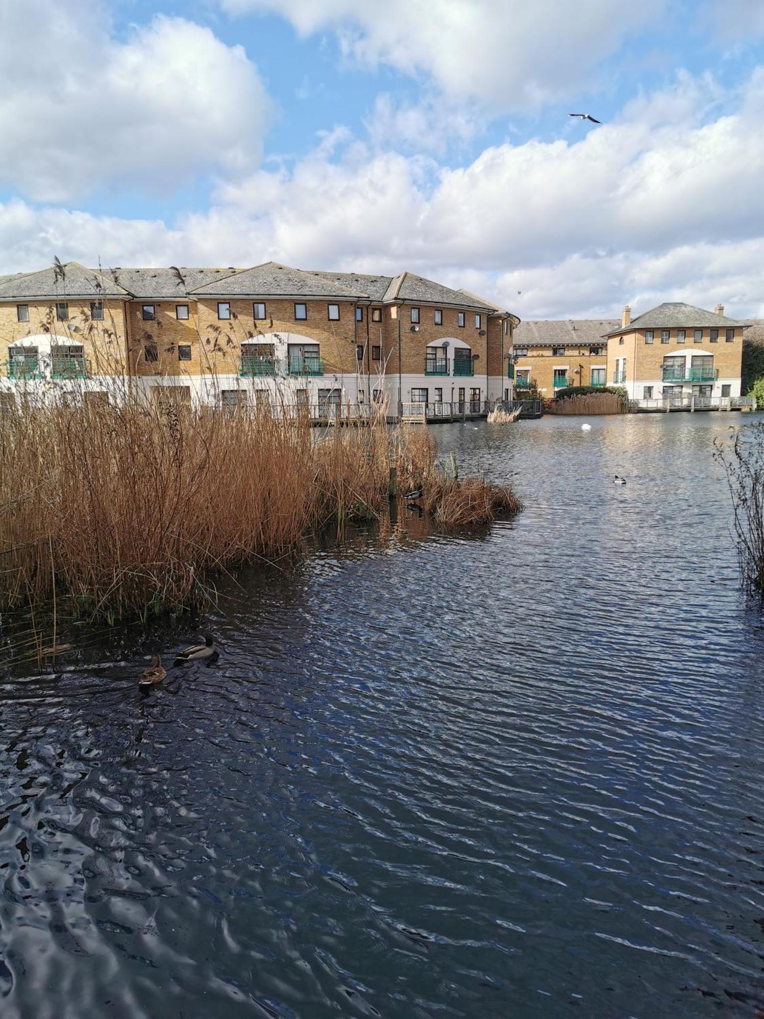 Riverside 1Br With Easy Transport 20Min To City Centre London Luaran gambar